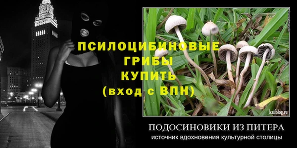 соль ск Медногорск