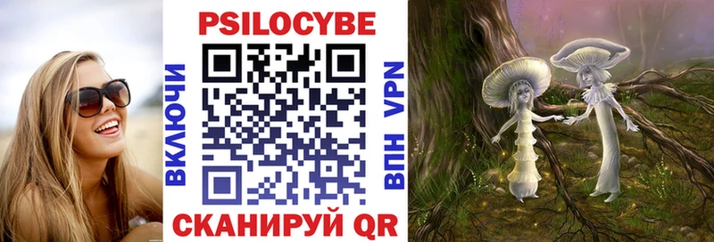 Галлюциногенные грибы Psilocybe Тейково