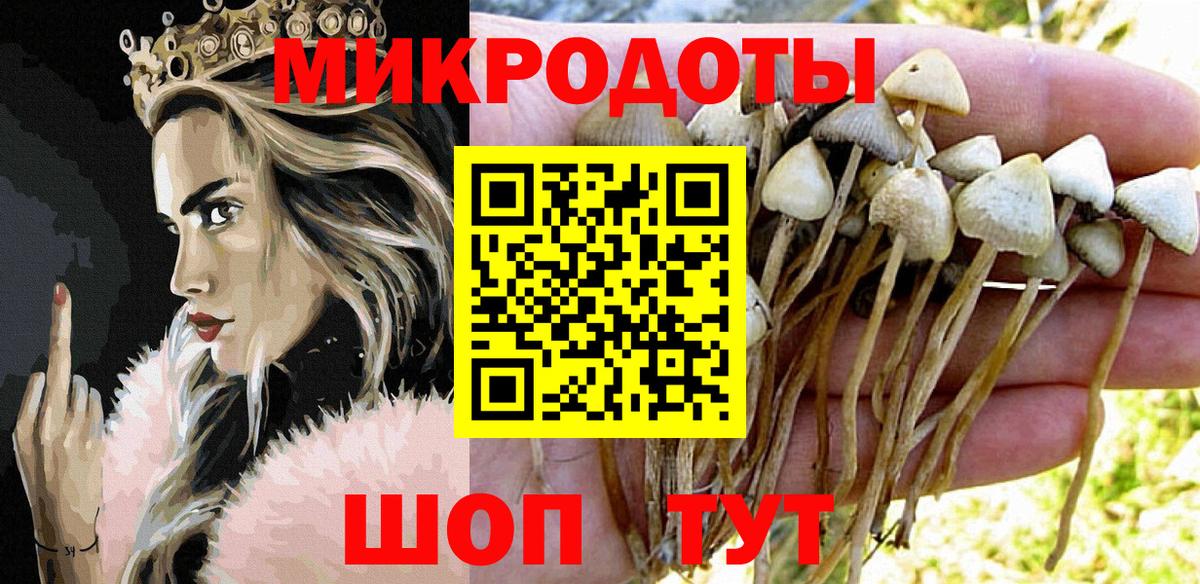 Тейково  Галлюциногенные грибы Cubensis  Вход с VPN 